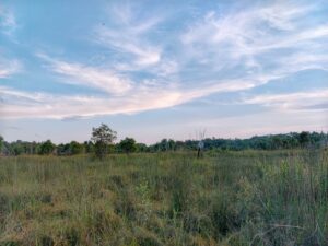 Planujesz budowę domu? Działka 1000m2 – to wystarczająco dużo, by zrealizować Twoje marzenia!