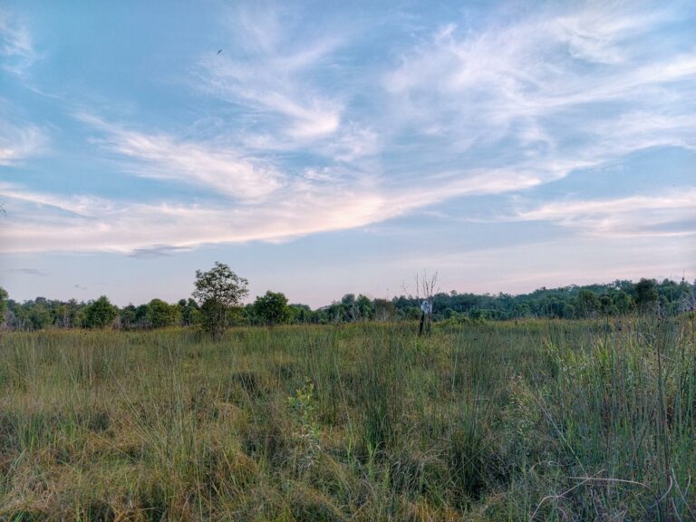 Planujesz budowę domu? Działka 1000m2 – to wystarczająco dużo, by zrealizować Twoje marzenia!