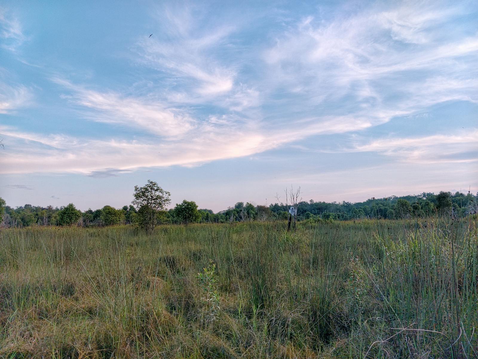 Planujesz budowę domu? Działka 1000m2 – to wystarczająco dużo, by zrealizować Twoje marzenia!