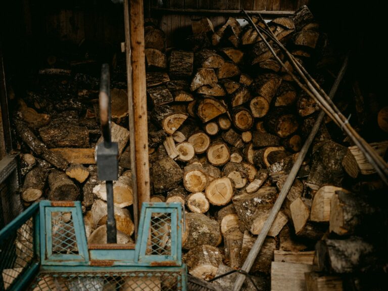 Wyjątkowy projekt drewutni – odkryj magiczne wymiary drewnianej architektury